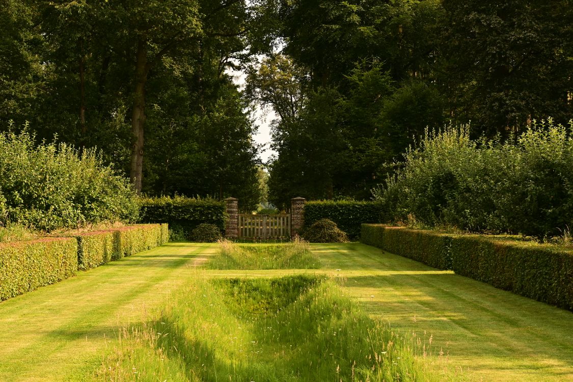A lawn bordered by neatly trimmed hedges and mature trees, with a wooden gate in the distance.